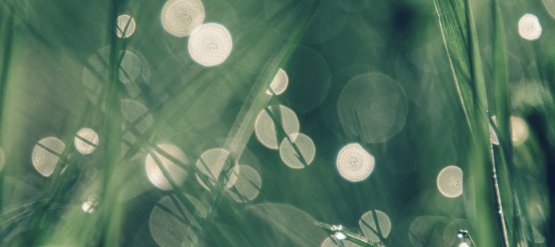 Photos actualités