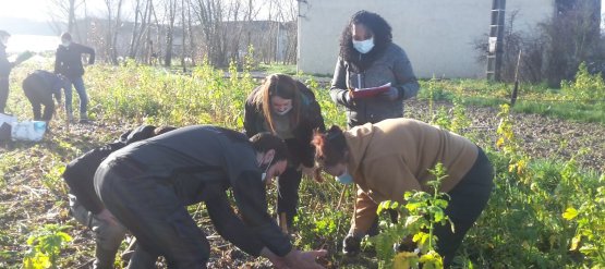 Formation OAB pour l'enseignement agricole