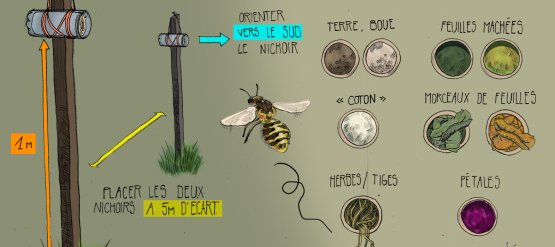Une nouvelle publication scientifique dans le cadre de l’OAB !