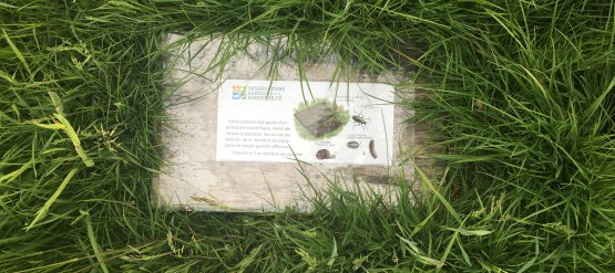 Enseignement agricole et étude de la biodiversité - un article paru dans le Magazine de la Bergerie nationale de Rambouillet