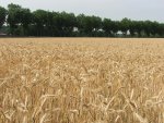 Chambre d'Agriculture de Dordogne