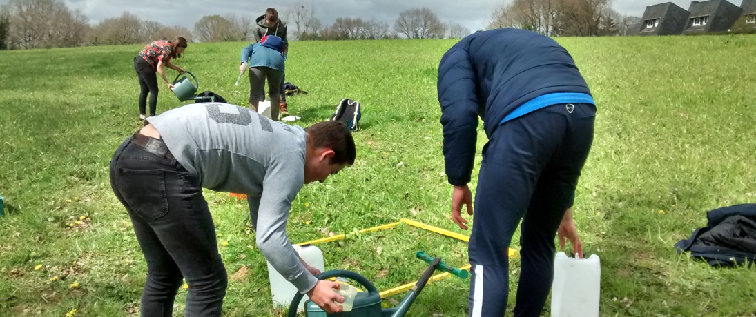 enseignement agricole