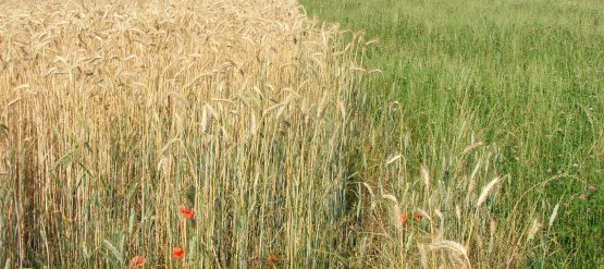 Lettre d'info mai 2012